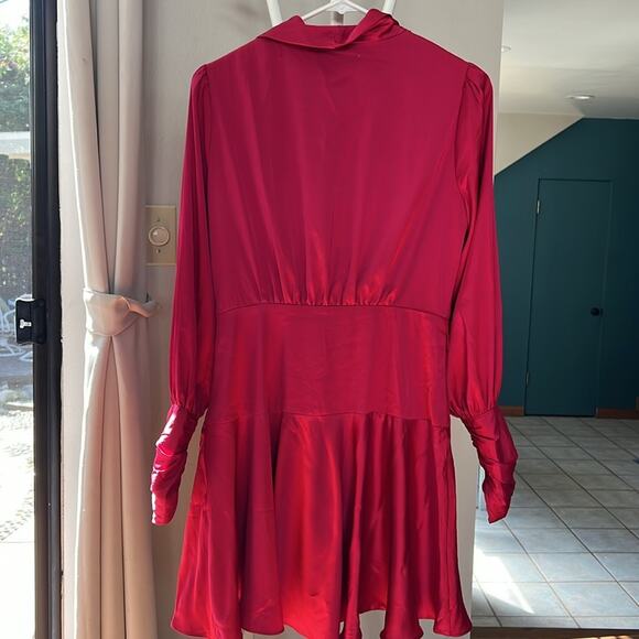 VICI Magenta dress - Picture 2 of 4